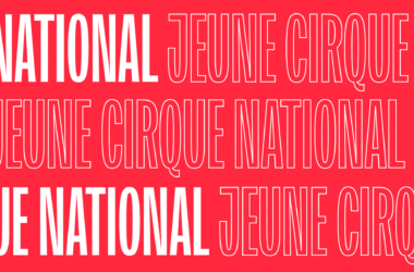 Dispositif Jeune Cirque National